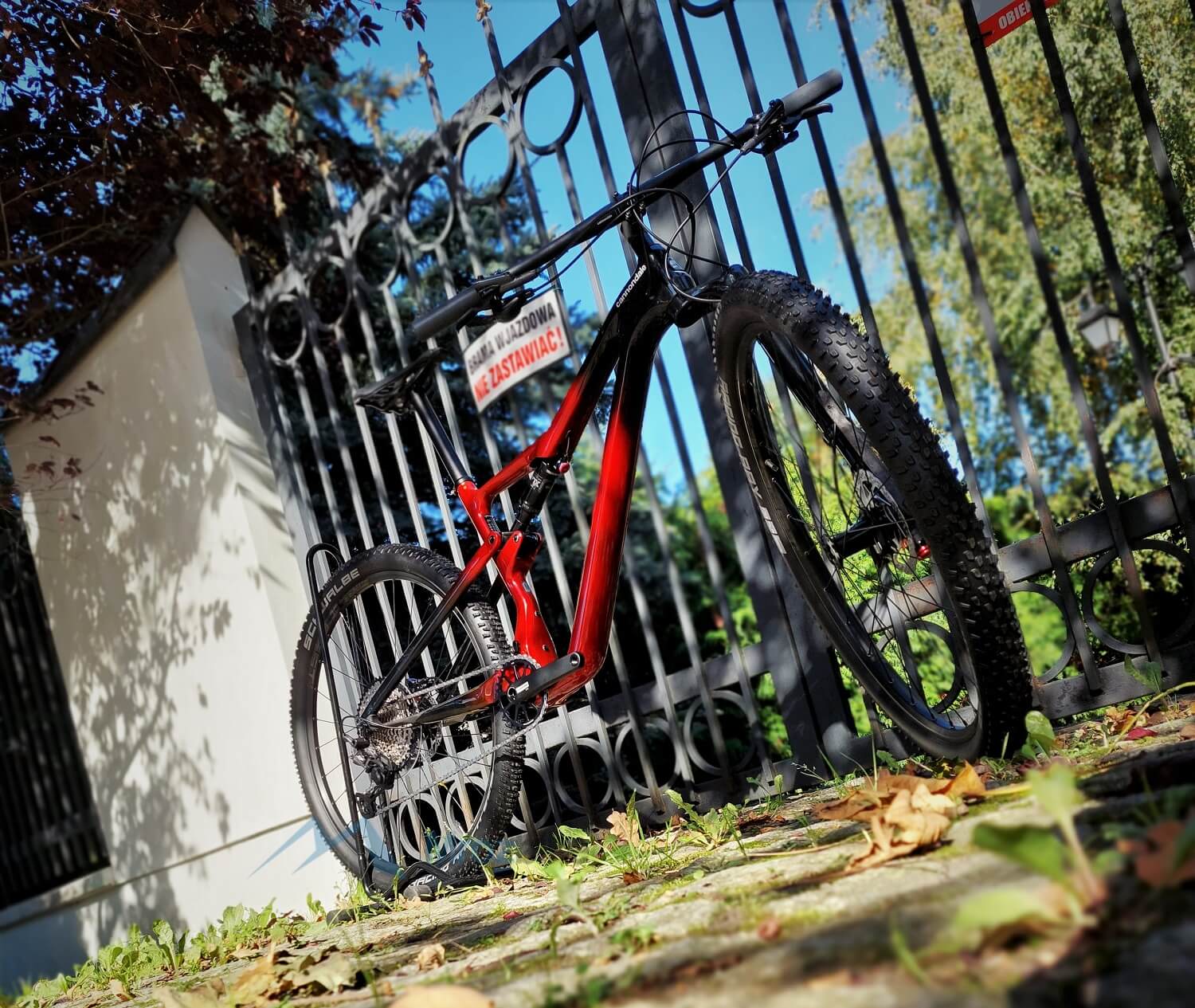 czerwony rower przy bramie 